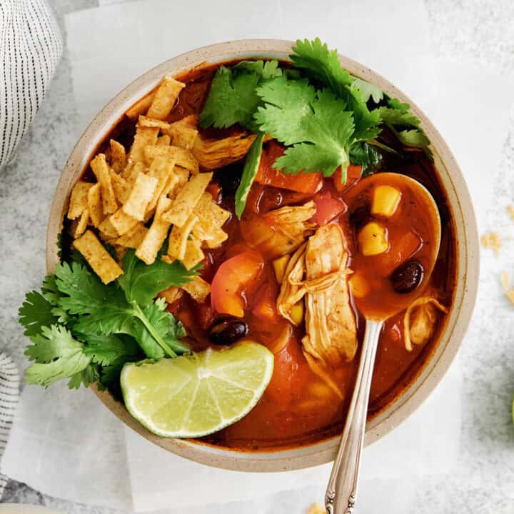 https://www.afarmgirlsdabbles.com/wp-content/uploads/2011/01/chicken-tortilla-soup-afarmgirlsdabbles-01s-720x720.jpg