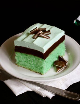 mint and chocolate cake dessert