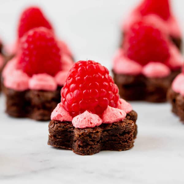 Brownie Bites With Fresh Raspberry Buttercream A Farmgirl S Dabbles