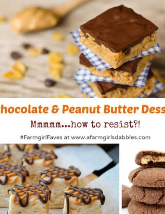 Chocolate Peanut Butter Bars and Cookies