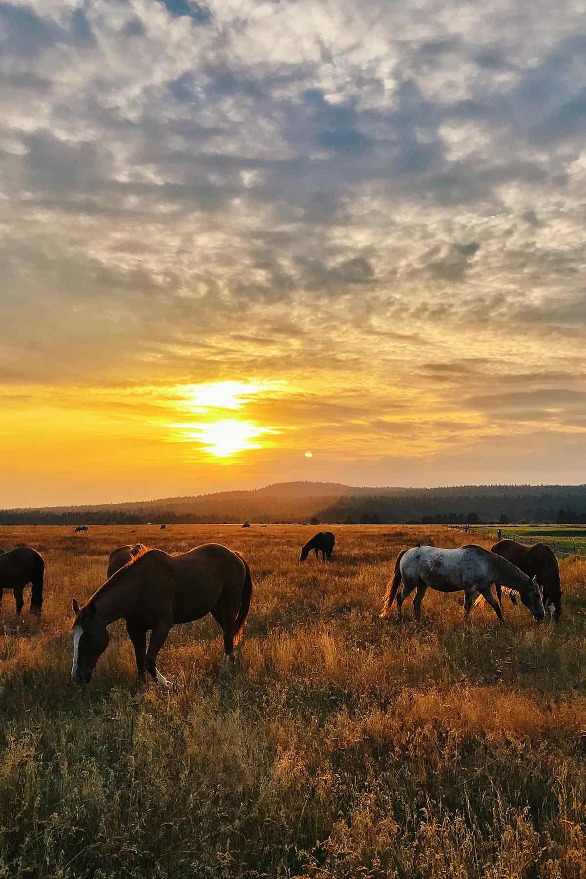 A Weekend at Sunriver Resort in Oregon - A Farmgirl's Dabbles