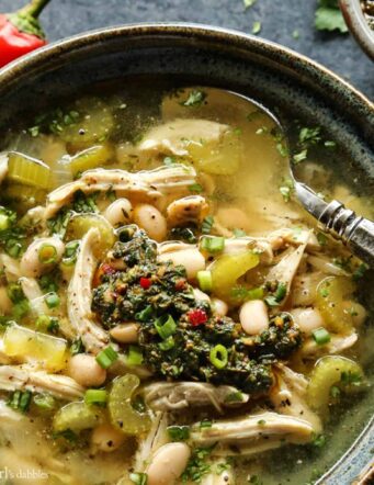 chimichurri chicken soup