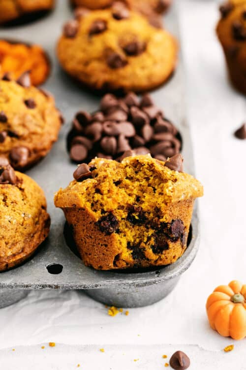 Pumpkin Chocolate Chip Muffins Recipe (Quick & Easy For Fall!)