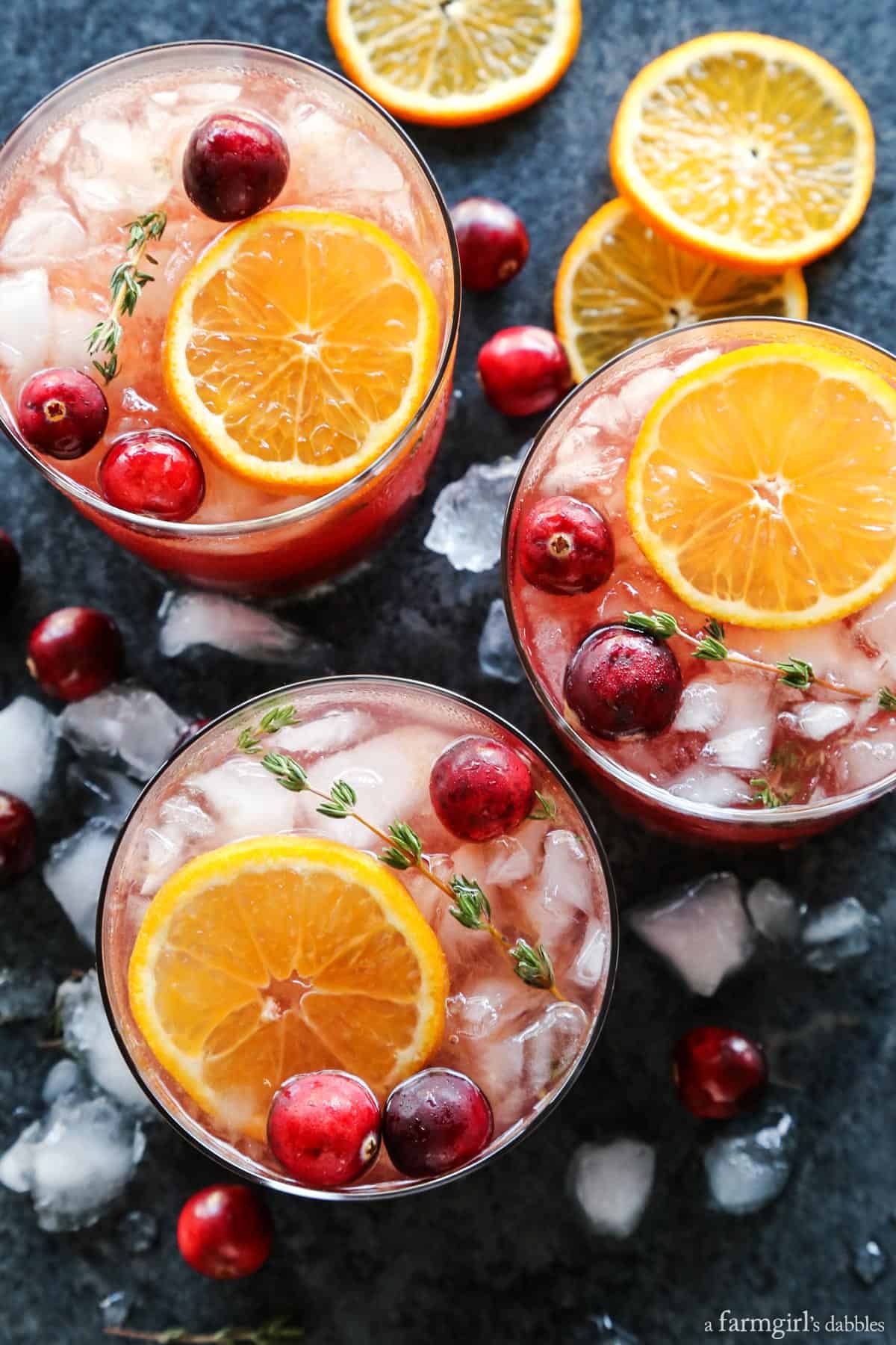 Cranberry Gin and Tonic - a farmgirl's dabbles