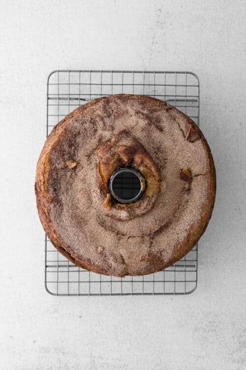 Sour Cream Coffee Cake with Cinnamon Ripple l A Farmgirl's Dabbles