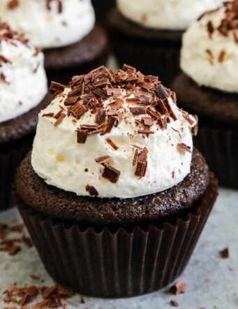 a Chocolate Cupcake with a big scoop of frosting