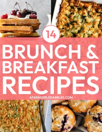 collage with text of 14 breakfast & brunch recipes