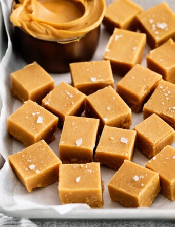 Overhead view of pieces of peanut butter fudge