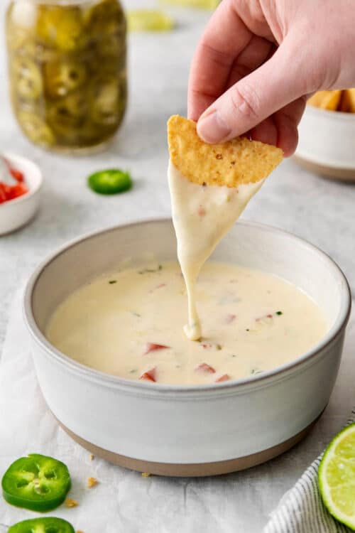 Easy Queso Blanco Recipe l a farmgirl's dabbles