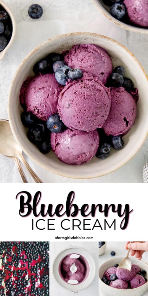 Crème Fraîche Blueberry Ice Cream | A Farmgirl's Dabbles