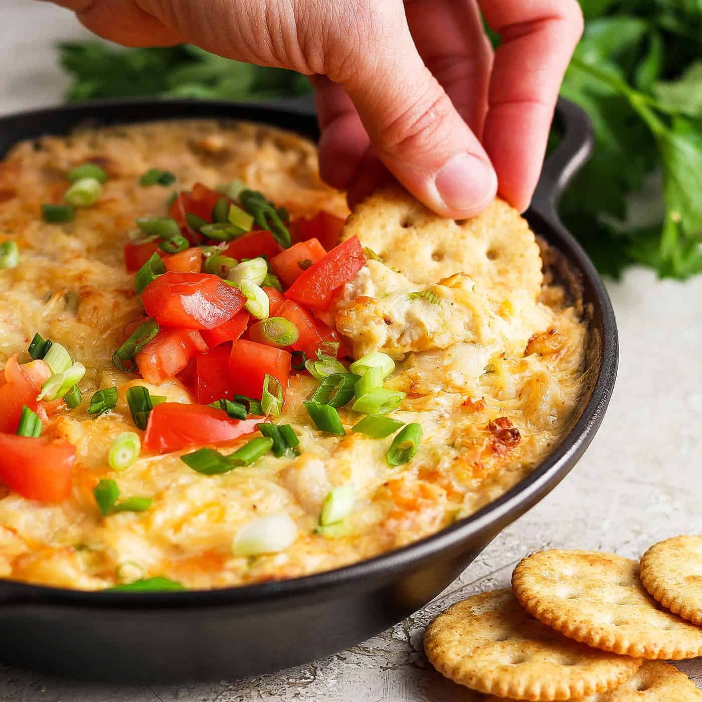 Shrimp and Crab Dip | A Farmgirl's Dabbles