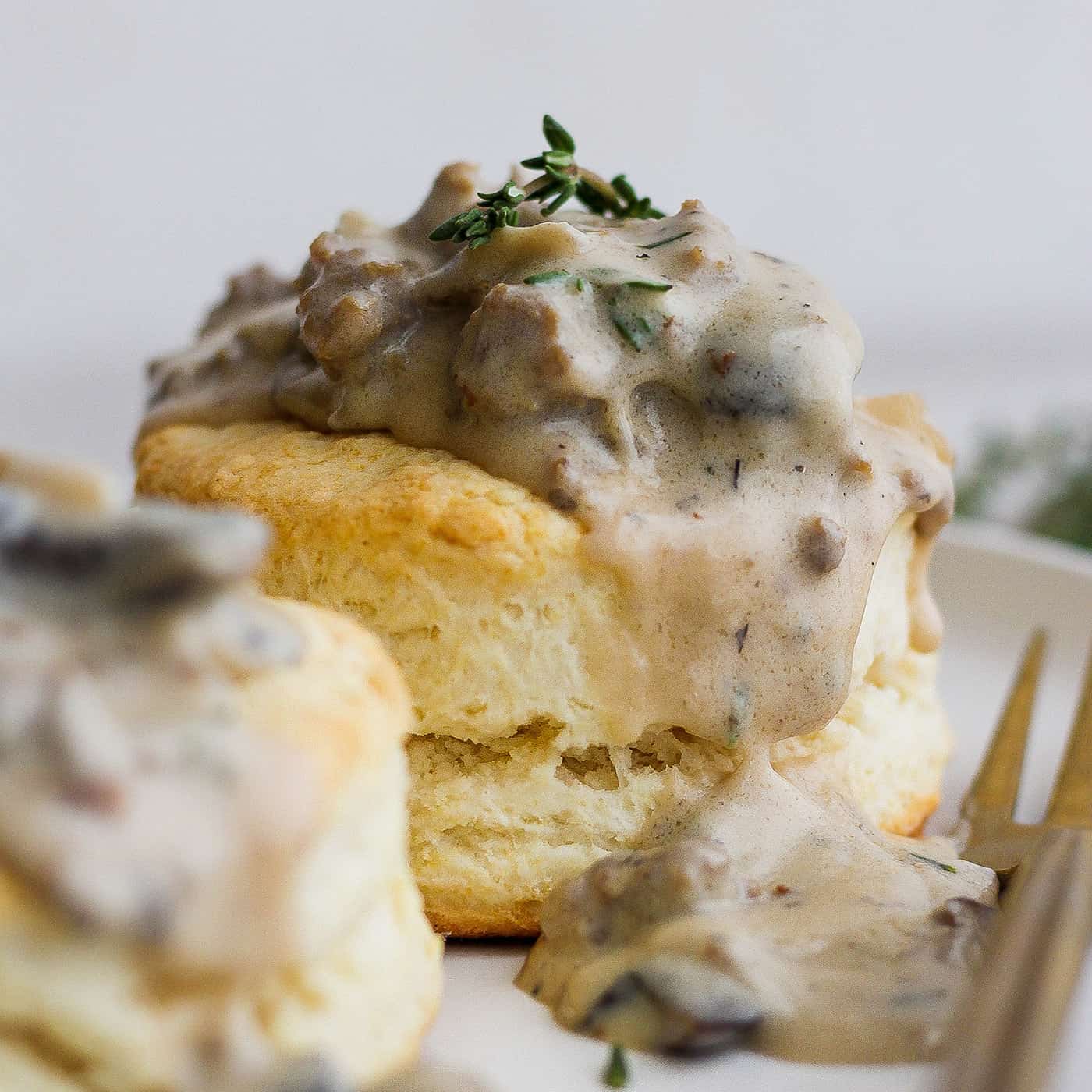 https://www.afarmgirlsdabbles.com/wp-content/uploads/2024/01/biscuits-and-gravy-afarmgirlsdabbles-01s.jpg