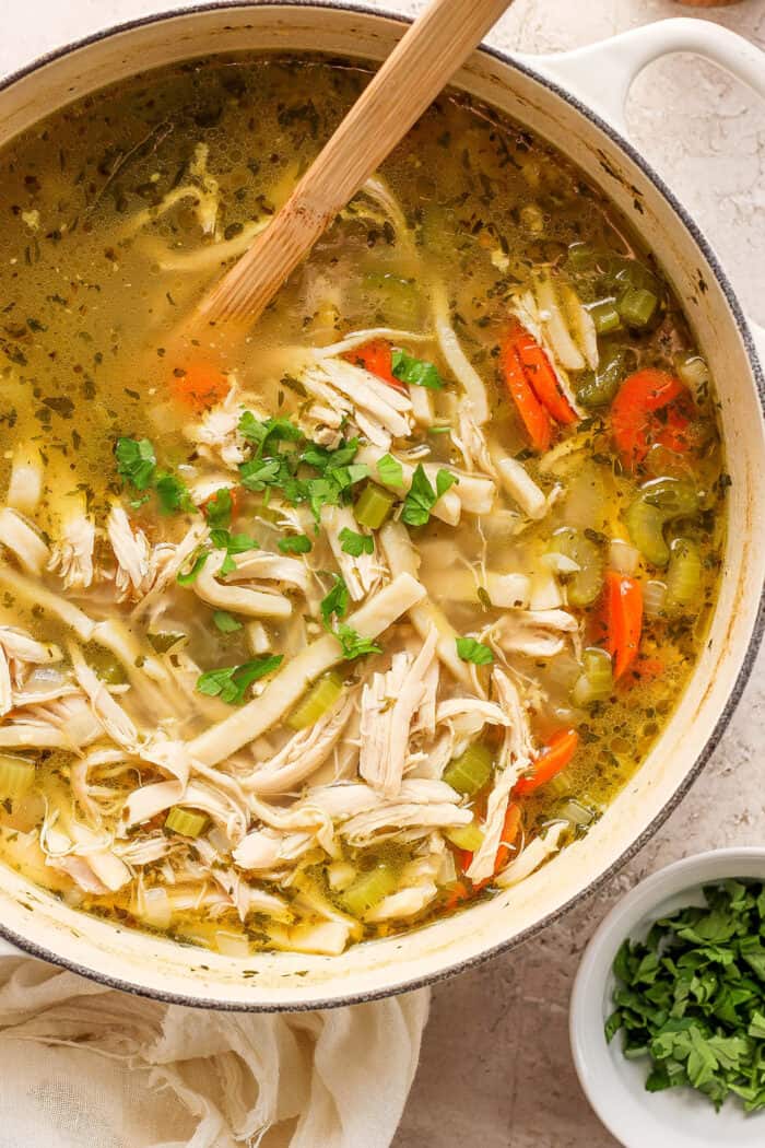 Chicken Noodle Soup Recipe | A Farmgirl's Dabbles