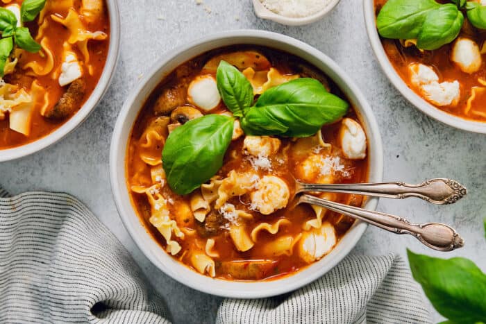 Slow Cooker Lasagna Soup With Chicken | A Farmgirl's Dabbles