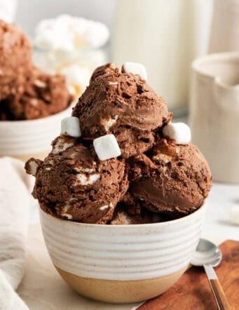 A few mini marshmallows adorn scoops of rocky road ice cream in a bowl.